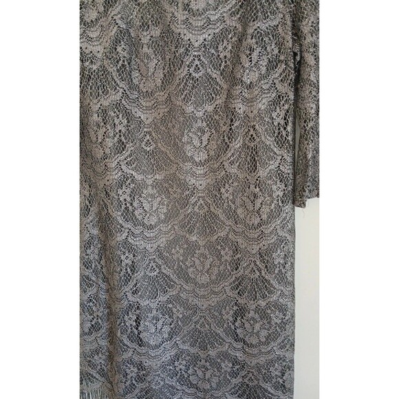 JACKIE JON NEW YORK SILVER LACE FRINGE LINED SHEER  PARTY DRESS W SZ 12 - Picture 2 of 16